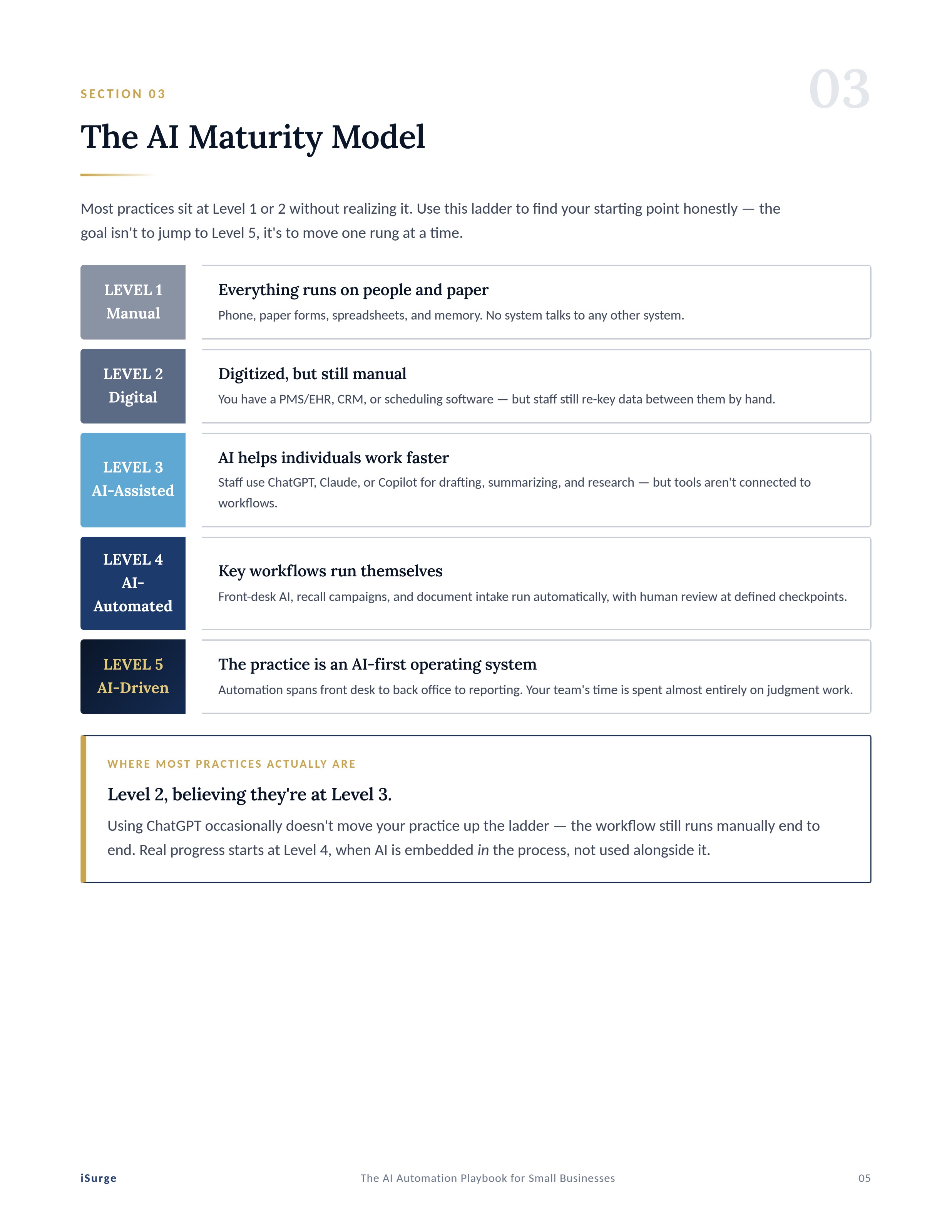 Page 5 — AI Maturity Model